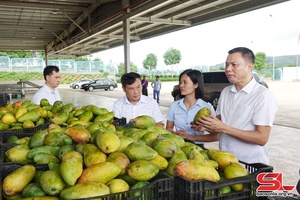 Đồng chí Phó Chủ tịch UBND tỉnh thăm và làm việc với Trung tâm chế biến rau, quả Doveco Sơn La