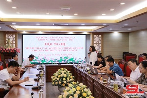 Thẩm tra các nội dung thuộc lĩnh vực văn hóa, xã hội