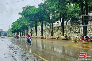 'Chủ động ứng phó với mưa lớn trên địa bàn tỉnh Sơn La