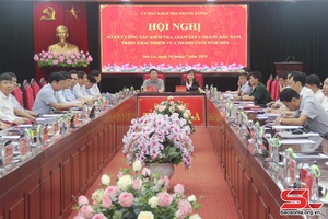 Thực hiện toàn diện, hiệu quả kiểm tra, giám sát, thi hành kỷ luật của Đảng