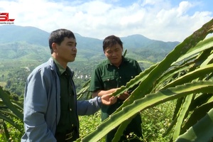 Cựu chiến binh Sông Mã học và làm theo Bác