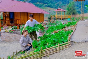 Chàng thanh niên nông thôn khởi nghiệp từ phát triển nội dung số