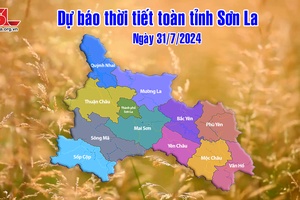 Dự báo thời tiết toàn tỉnh Sơn La ngày 31/7/2024