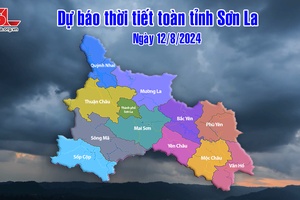 Dự báo thời tiết toàn tỉnh Sơn La ngày 12/8/2024