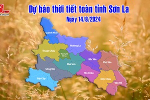 Dự báo thời tiết toàn tỉnh Sơn La ngày 14/8/2024