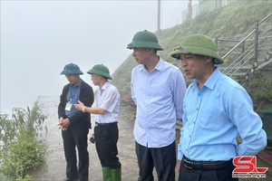 Đồng chí Phó Chủ tịch UBND tỉnh kiểm tra khắc phục sạt lở tại huyện Bắc Yên
