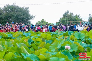 Đặc sắc Lễ hội Hồ Sen xã Hua Nhàn 
