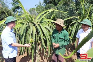 Luân chuyển, điều động cán bộ - tôi luyện để trưởng thành:
Kỳ II. Người đứng đầu không phải người địa phương
