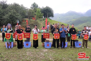 Hội thi hái quả sơn tra