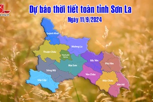 Dự báo thời tiết toàn tỉnh Sơn La ngày 11/9/2024