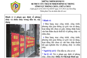 NHỮNG NHÓM HÀNH VI BỊ TRUY CỨU TRÁCH NHIỆM HÌNH SỰ TRONG LĨNH VỰC PHÒNG CHÁY, CHỮA CHÁY
