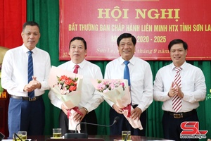 Hội nghị bất thường Ban Chấp hành Liên minh HTX tỉnh khóa VI