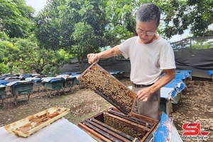 ' Phát triển thương mại điện tử trong nông nghiệp ở huyện biên giới