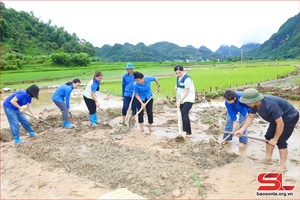 'Khôi phục sản xuất lúa mùa sau mưa lũ