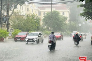 Ứng phó với mưa lớn trên địa bàn toàn tỉnh 