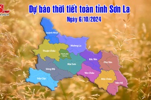 Dự báo thời tiết toàn tỉnh Sơn La ngày 6/10/2024