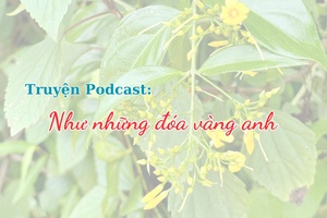 Truyện Podcast: Như những đóa vàng anh