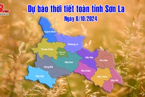 'Dự báo thời tiết toàn tỉnh Sơn La ngày 8/10/2024