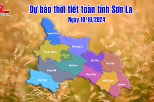 Dự báo thời tiết toàn tỉnh Sơn La ngày 10/10/2024