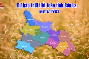 'Dự báo thời tiết toàn tỉnh Sơn La ngày 3/11/2024