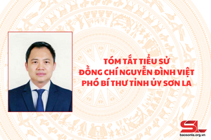 'Tóm tắt tiểu sử đồng chí Nguyễn Đình Việt, Phó Bí thư Tỉnh ủy Sơn La