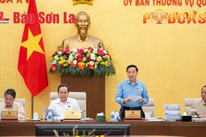 Bản tin Podcast ngày 14/11/2024