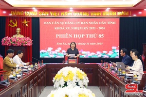  Phiên họp thứ 85, Ban cán sự Đảng UBND tỉnh