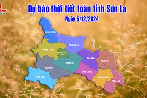 'Dự báo thời tiết toàn tỉnh Sơn La ngày 5/12/2024