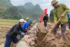 'Đồng thuận góp sức, mở rộng đường giao thông nông thôn