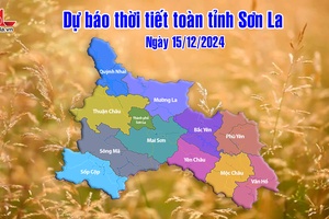 'Dự báo thời tiết toàn tỉnh Sơn La ngày 15/12/2024