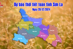 'Dự báo thời tiết toàn tỉnh Sơn La ngày 20/12/2024