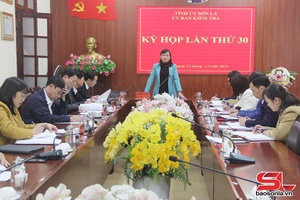 Kết quả Kỳ họp thứ 30, Uỷ ban Kiểm tra Tỉnh uỷ, nhiệm kỳ 2020-2025