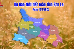 'Dự báo thời tiết toàn tỉnh Sơn La ngày 13/1/2025