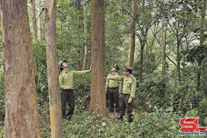 Bảo vệ rừng trong mùa hanh khô ở vùng cao