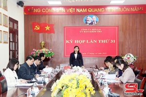 'Kết quả Kỳ họp lần thứ 31, Ủy ban Kiểm tra Tỉnh ủy