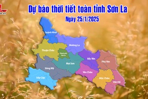 'Dự báo thời tiết toàn tỉnh Sơn La ngày 25/1/2025