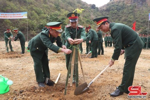 'Bộ CHQS và Bộ đội Biên phòng phát động Tết trồng cây 