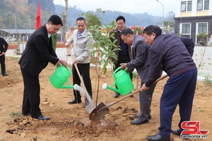 'Thuận Châu phát động “Tết trồng cây đời đời nhớ ơn Bác Hồ” 