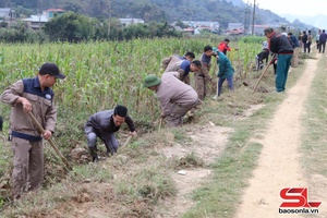 'Thuận Châu phát động phong trào toàn dân tham gia làm thủy lợi mùa khô 2025
