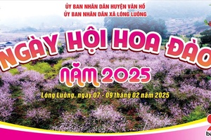 'Ngày hội Hoa đào xã Lóng Luông năm 2025 sẽ diễn ra từ ngày 7 – 9/2