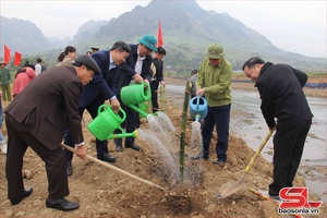 'Mường La ra quân trồng cây và làm thủy lợi