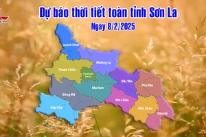 'Dự báo thời tiết toàn tỉnh Sơn La ngày 8/2/2025