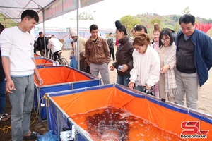 'Đặc sắc các sản phẩm trưng bày tại Tuần Văn hóa, thể thao và du lịch huyện Quỳnh Nhai  