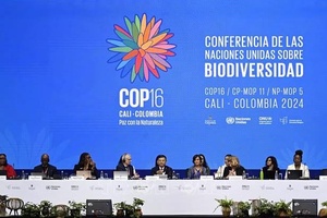 COP 16 với nỗ lực giải quyết những nhiệm vụ dang dở