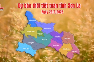 'Dự báo thời tiết toàn tỉnh Sơn La ngày 28/2/2025