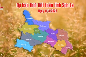 'Dự báo thời tiết toàn tỉnh Sơn La ngày 11/3/2025