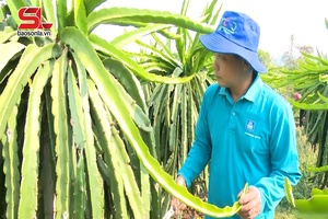 Đồng hành cùng hội viên phát triển kinh tế