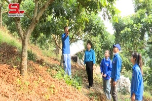 Đồng hành cùng thanh niên lập thân lập nghiệp