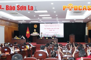 Bản tin Podcast ngày 29/4/2025