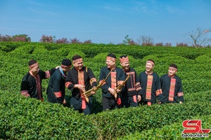 'Đồi chè Mộc Châu - điểm đến hấp dẫn du khách